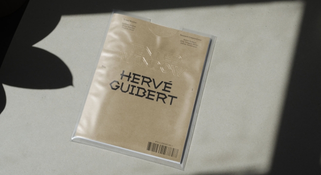 Tinted Window: No.1: Hervé Guibert