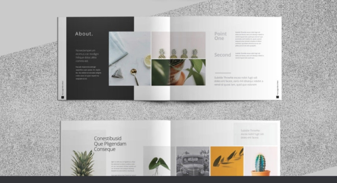A Beautiful Portfolio Brochure Template for use in Adobe InDesign