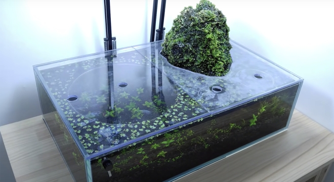 Dive Into the Art of Aquascaping With a Volcanic Aquarium That Fits on a Desk